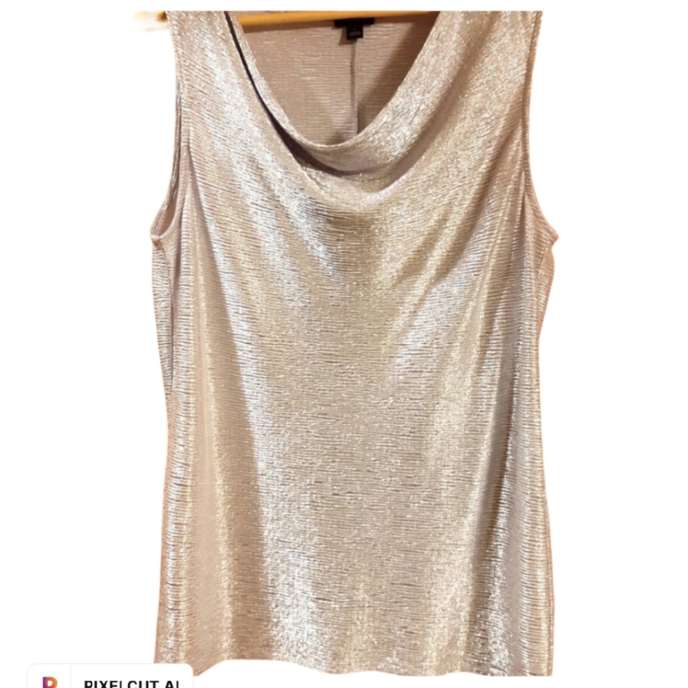 NWT Shimmer Top